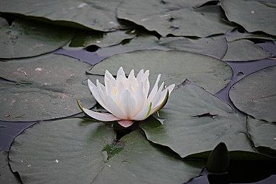 《洲际弹道导弹》Steam新史低促销 仅售30元